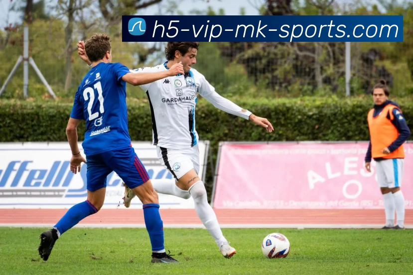 MK体育APP 高清赛事图